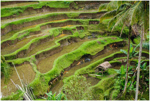 Pantunan Valley