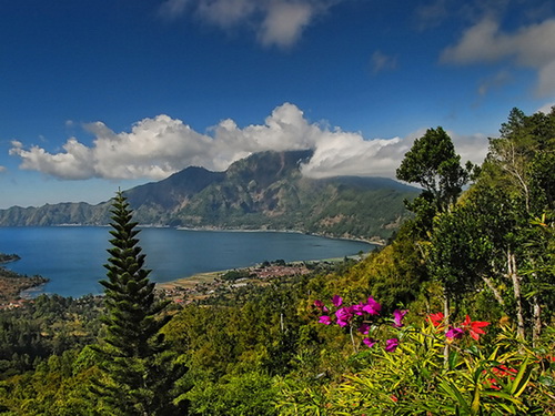 kintamani