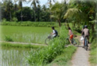Ancient Trekking Road at Blahbatuh Village