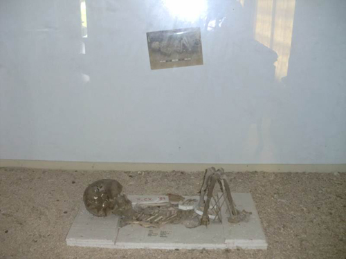 museum manusia purba