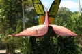 Bali Butterfly Park 