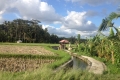 Subak Pulagan Included in World Cultural Heritage