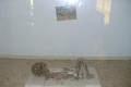Museum of Ancient Man